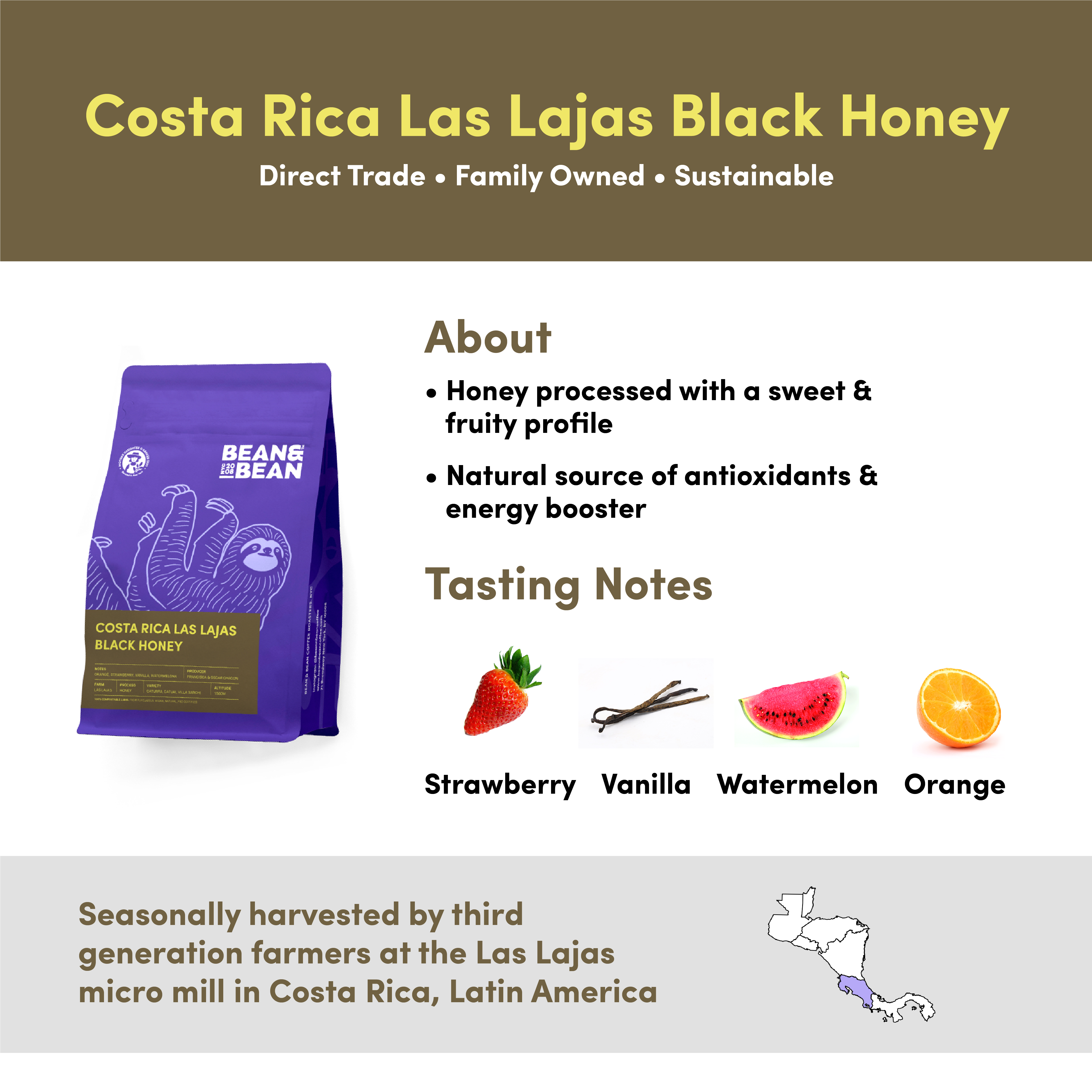 Bean & Bean Costa Rica Las Lajas Black Honey coffee with tasting notes of Strawberry, Vanilla, Watermelon, and Orange. Described as honey processed with a sweet and fruity profile. Seasonally harvested by third-generation farmers at the Las Lajas micro mill in Costa Rica. Direct Trade, Family Owned, and Sustainable.