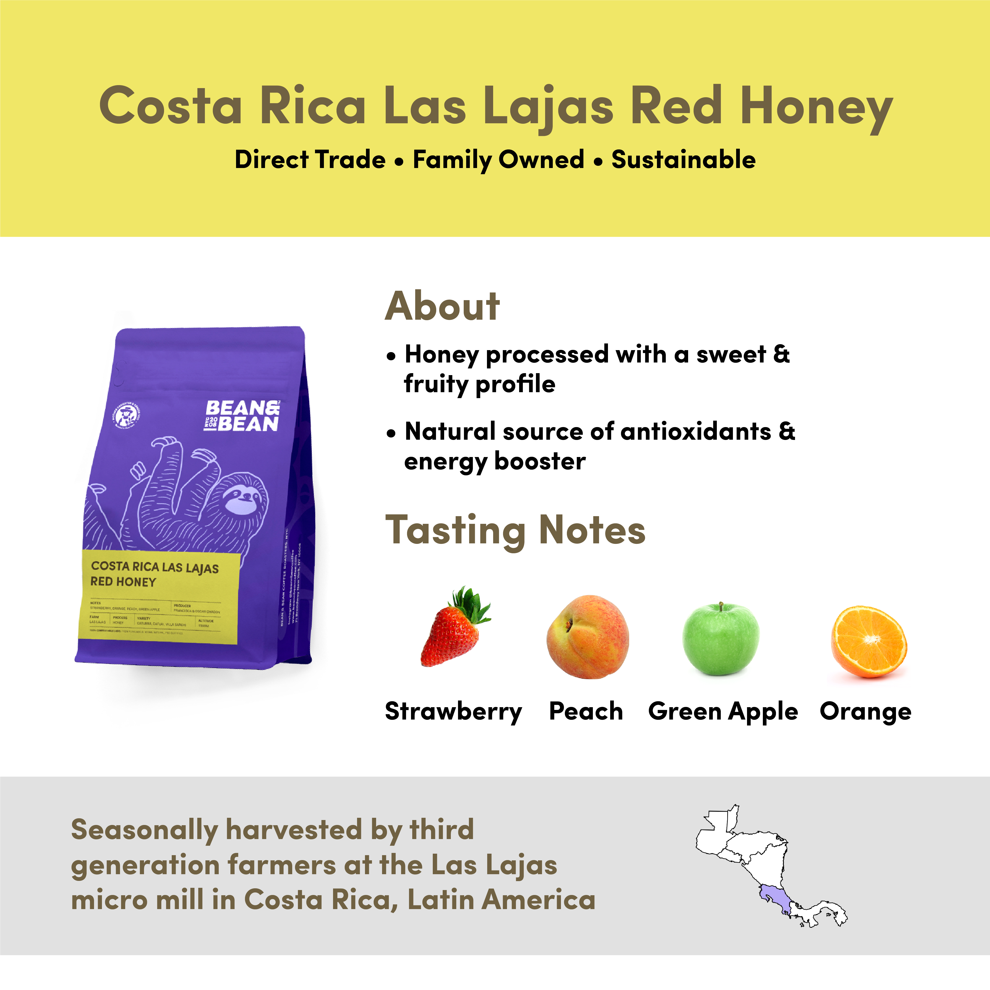 Bean & Bean Costa Rica Las Lajas Red Honey coffee with tasting notes of Strawberry, Peach, Green Apple, and Orange. Honey processed with a sweet and fruity profile. Seasonally harvested by third-generation farmers at the Las Lajas micro mill in Costa Rica. Direct Trade, Family Owned, and Sustainable.