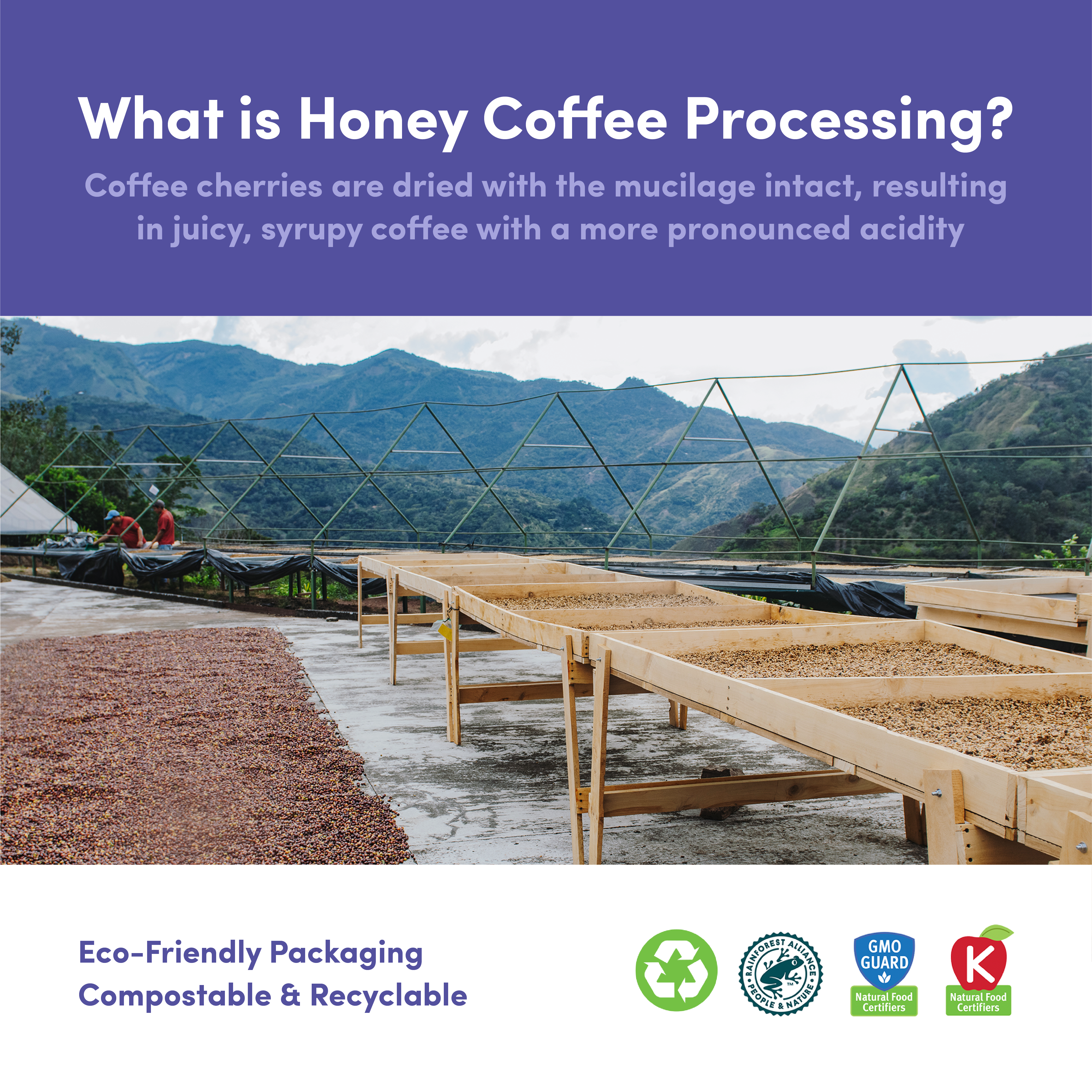 Explanation of honey coffee processing with image of coffee beans drying on raised beds. Text describes the process where coffee cherries are dried with mucilage intact, resulting in juicy, syrupy coffee with pronounced acidity. Includes eco-friendly and compostable packaging icons.